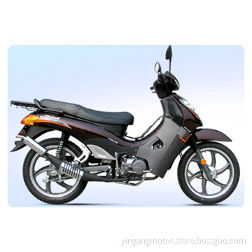 CUB Motorcycle (YG125-13)